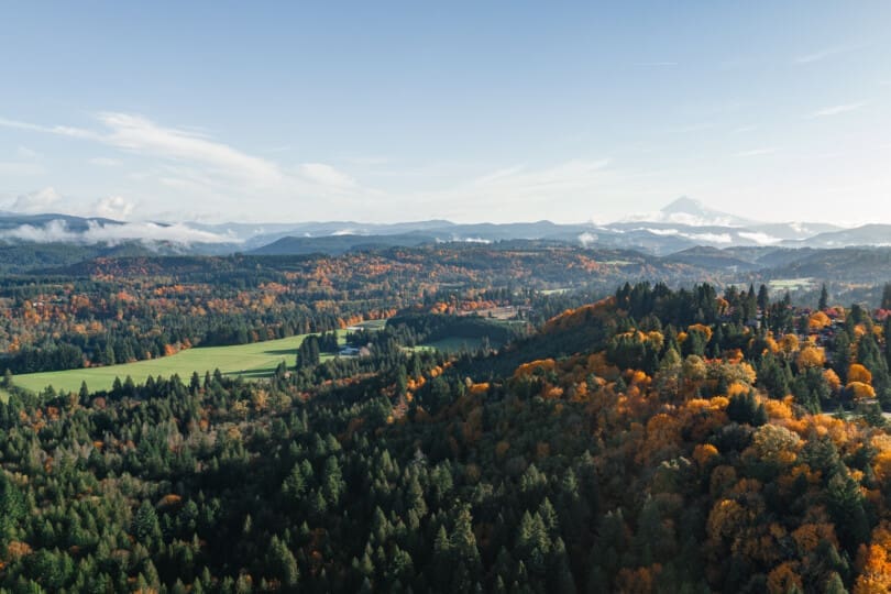 Timber Grove new home community in Sandy, OR gallery image number 38